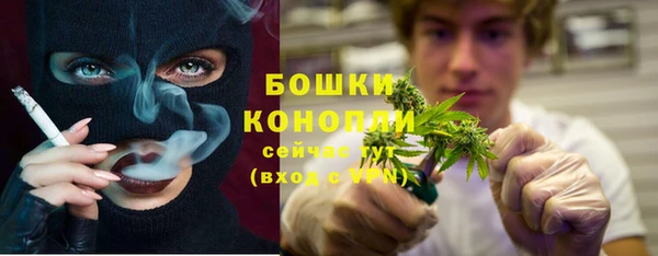 прущие крисы Рославль
