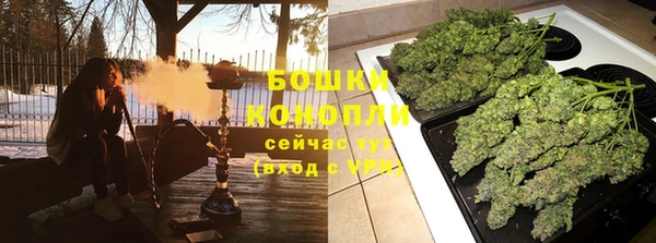 прущие крисы Рославль