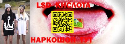 дмт Кунгур