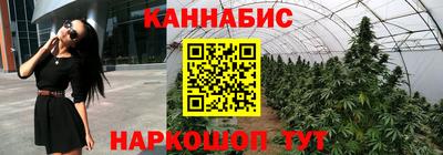 стаф Кулебаки
