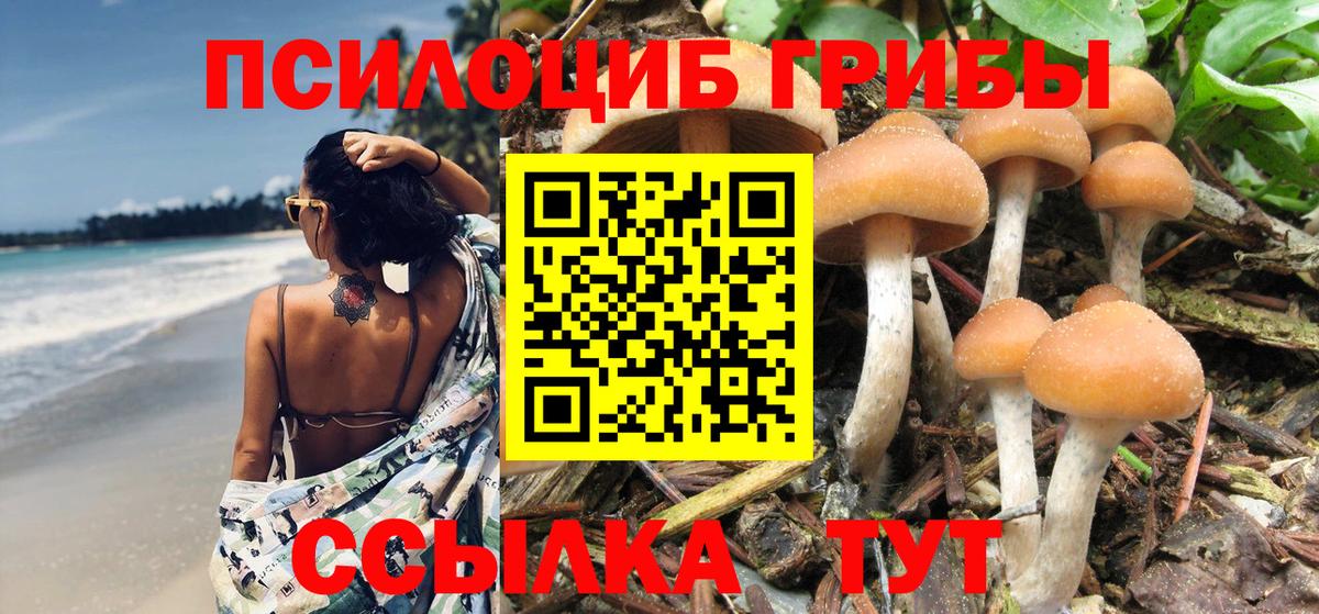 Галлюциногенные грибы GOLDEN TEACHER  Вход с VPN  Псилоцибиновые грибы Cubensis  Аксай 