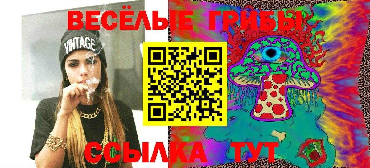 Псилоцибиновые грибы Psilocybine cubensis Аксай