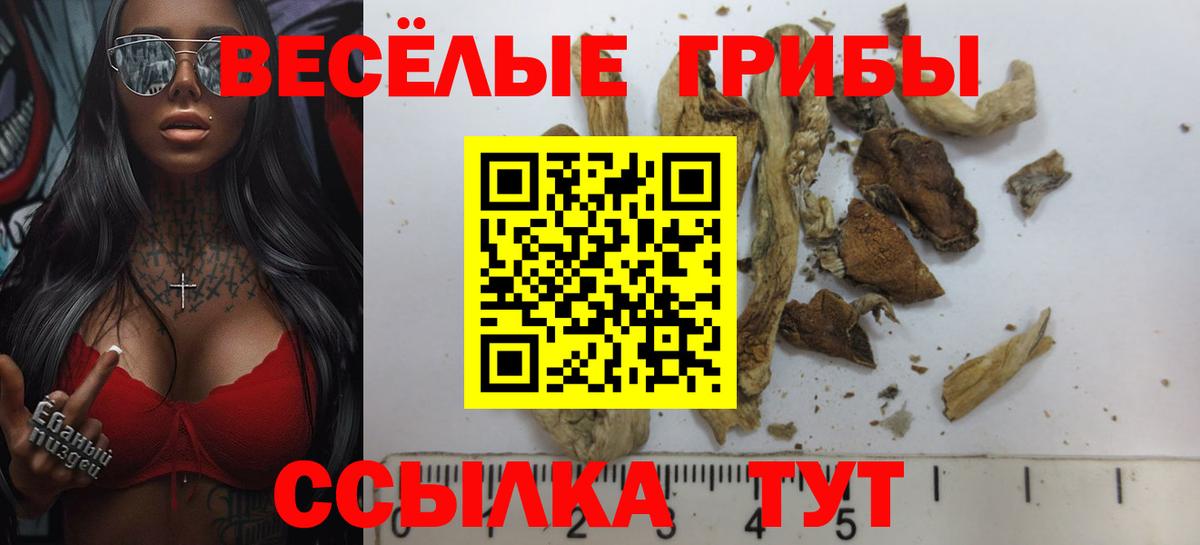 хочу наркоту  Аксай  Галлюциногенные грибы мицелий 